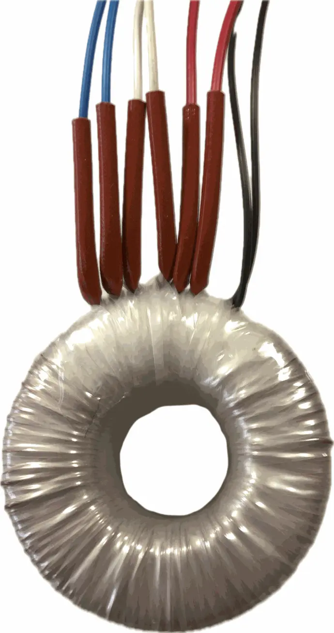 Trasformatori Toroidali Standard