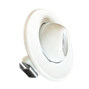Sauro